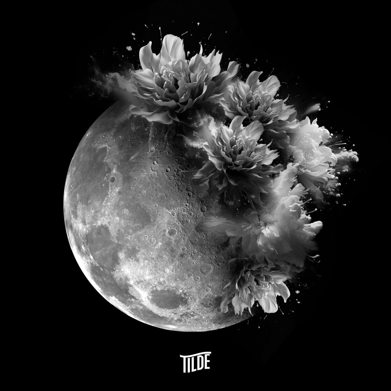 Tilde – Moon Flower – Single