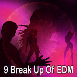 Workout Buddy 9 Break Up Of Edm Lyrics And Songs Deezer