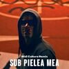 CARLA'S DREAMS/MIDI CULTURE - Sub Pielea Mea (Record Mix)