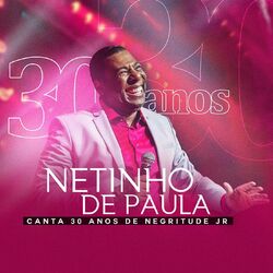 Netinho De Paula – Netinho de Paula Canta 30 Anos de Negritude Jr 2017 CD Completo