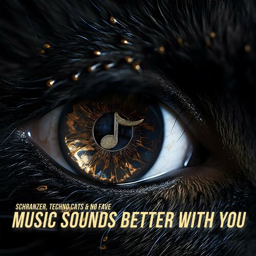  Schranzer - Music Sounds Better With You (2024) 