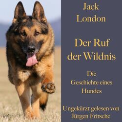 Jack London: Der Ruf der Wildnis. Die Geschichte eines Hundes (Ein Abenteuerroman)