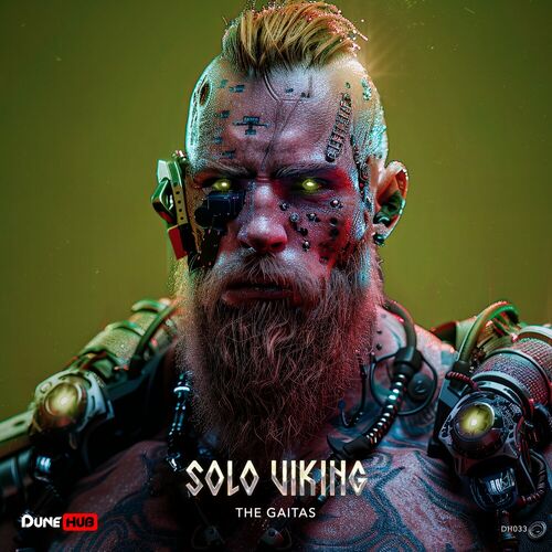 Solo Viking - The Gaitas (2024)