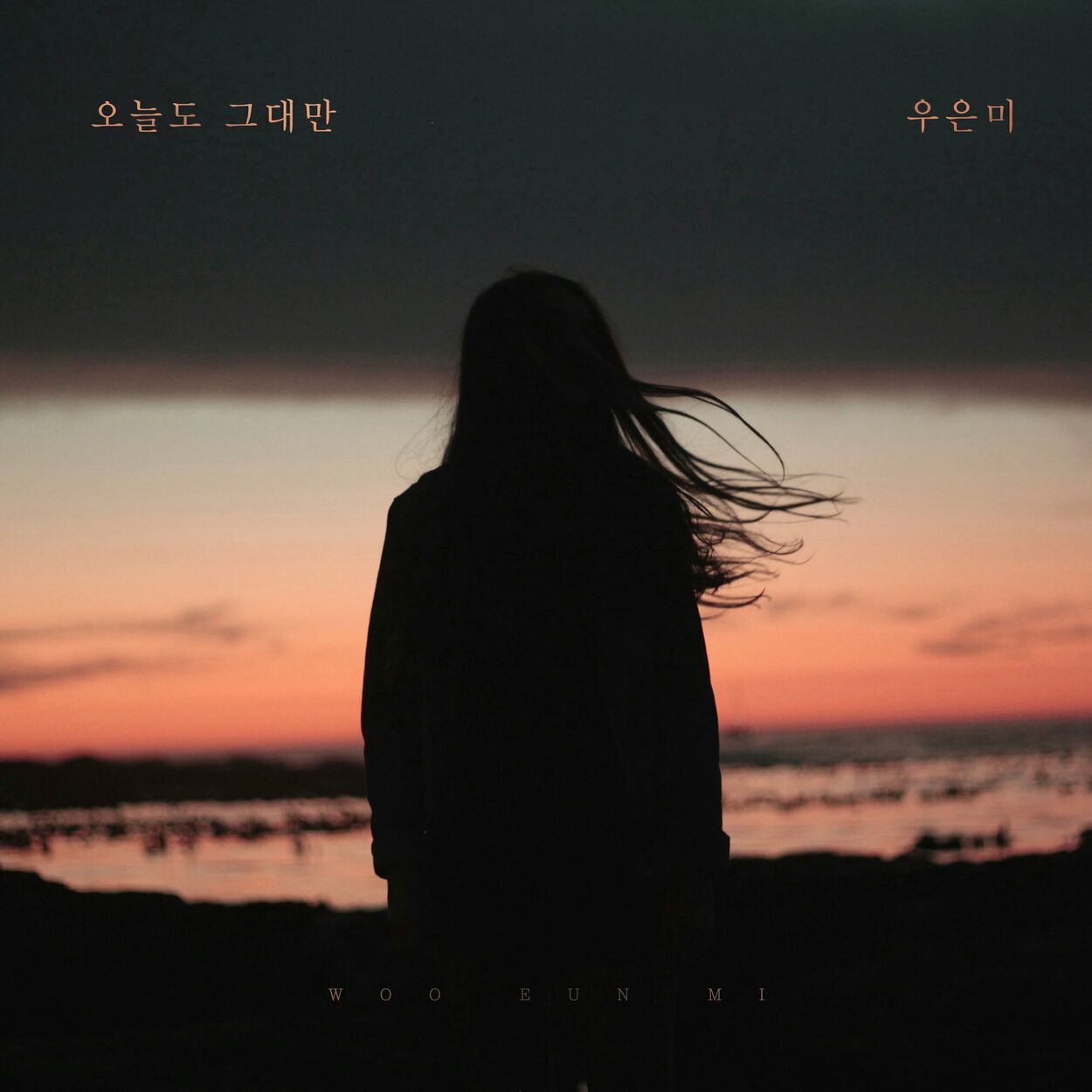 Woo eun mi – 오늘도 그대만 – Single