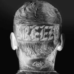 Chris Brown – Breezy (Deluxe) 2022 CD Completo