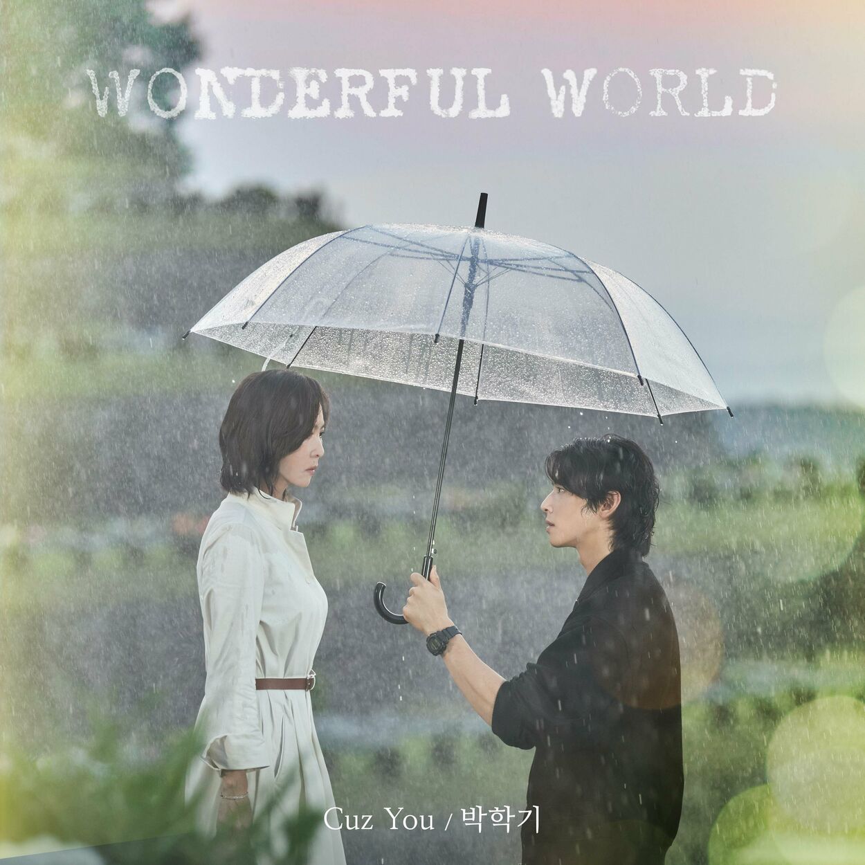 Park Haki – Wonderful World (Original Television Soundtrack), Pt.1