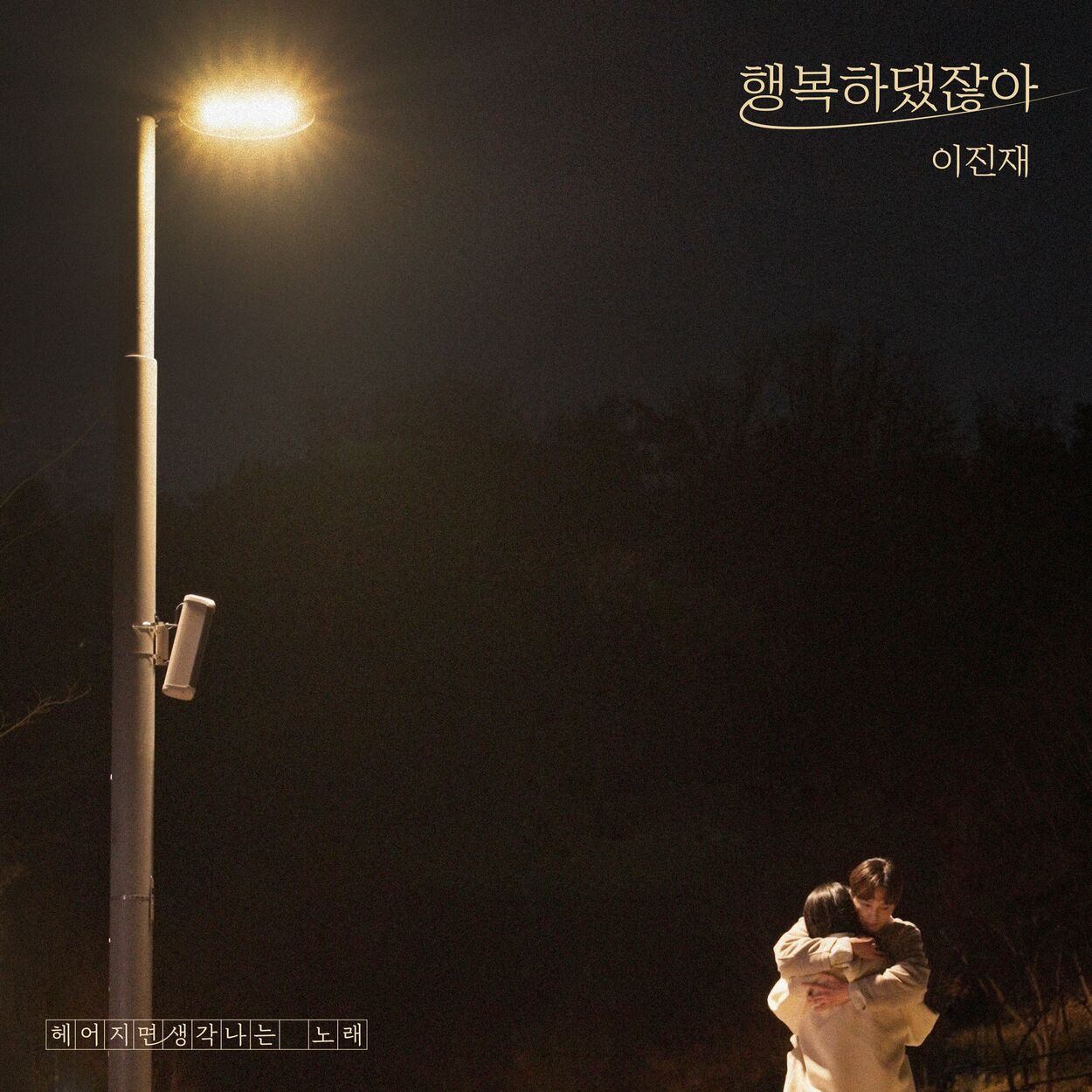 Lee Jinjae – You said you were happy – Single