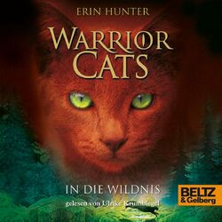 Warrior Cats. In die Wildnis (I, Folge 1)
