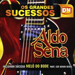 Aldo Sena – Grandes Sucessos 2012 CD Completo