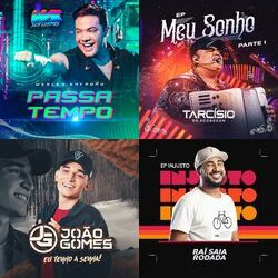 DJ LUCIANO – PISEIRO, FORRÓ E PAREDÃO VERÃO 2021 CD Completo