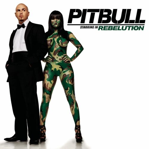 Pitbull Starring In Rebelution - Pitbull
