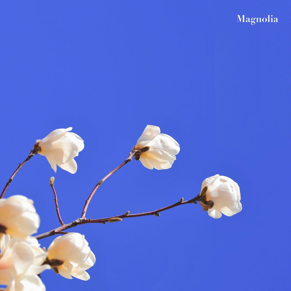 Aden – Magnolia – Single
