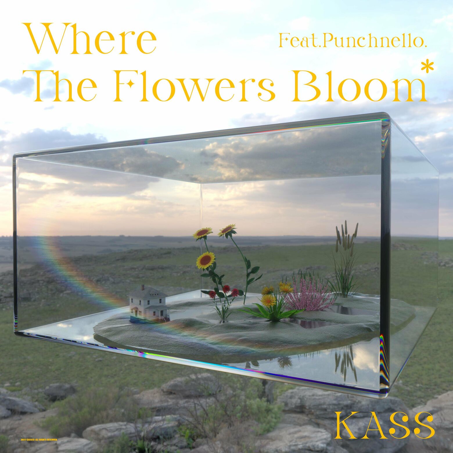 KASS – Where the Flowers Bloom – Single