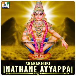Puttur Narasimha Nayak Poorva Janmadali Naa Maadida Listen With Lyrics Deezer deezer