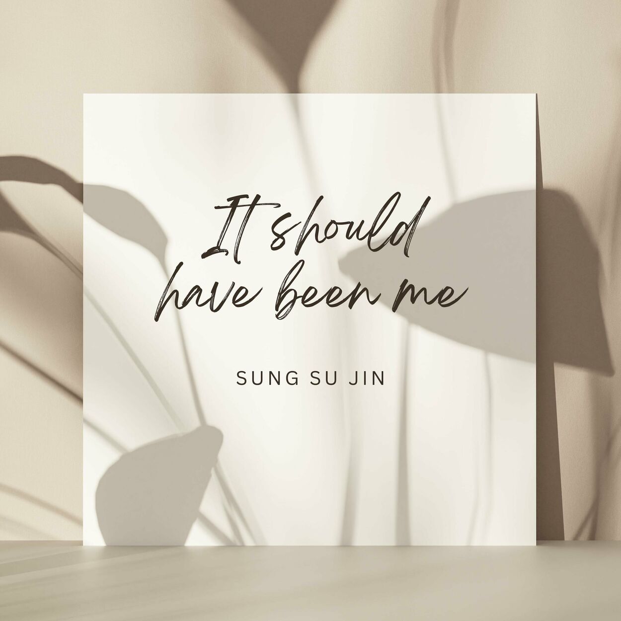 Sung Su Jin – It should have been me – Single