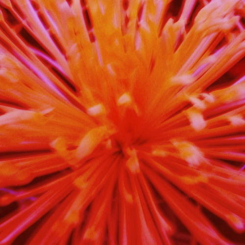 Millic – CLIONE (feat. Sion) – Single