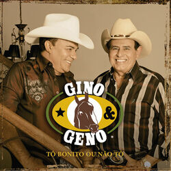 Gino e Geno – Tô Bonito Ou Não Tô 2017 CD Completo