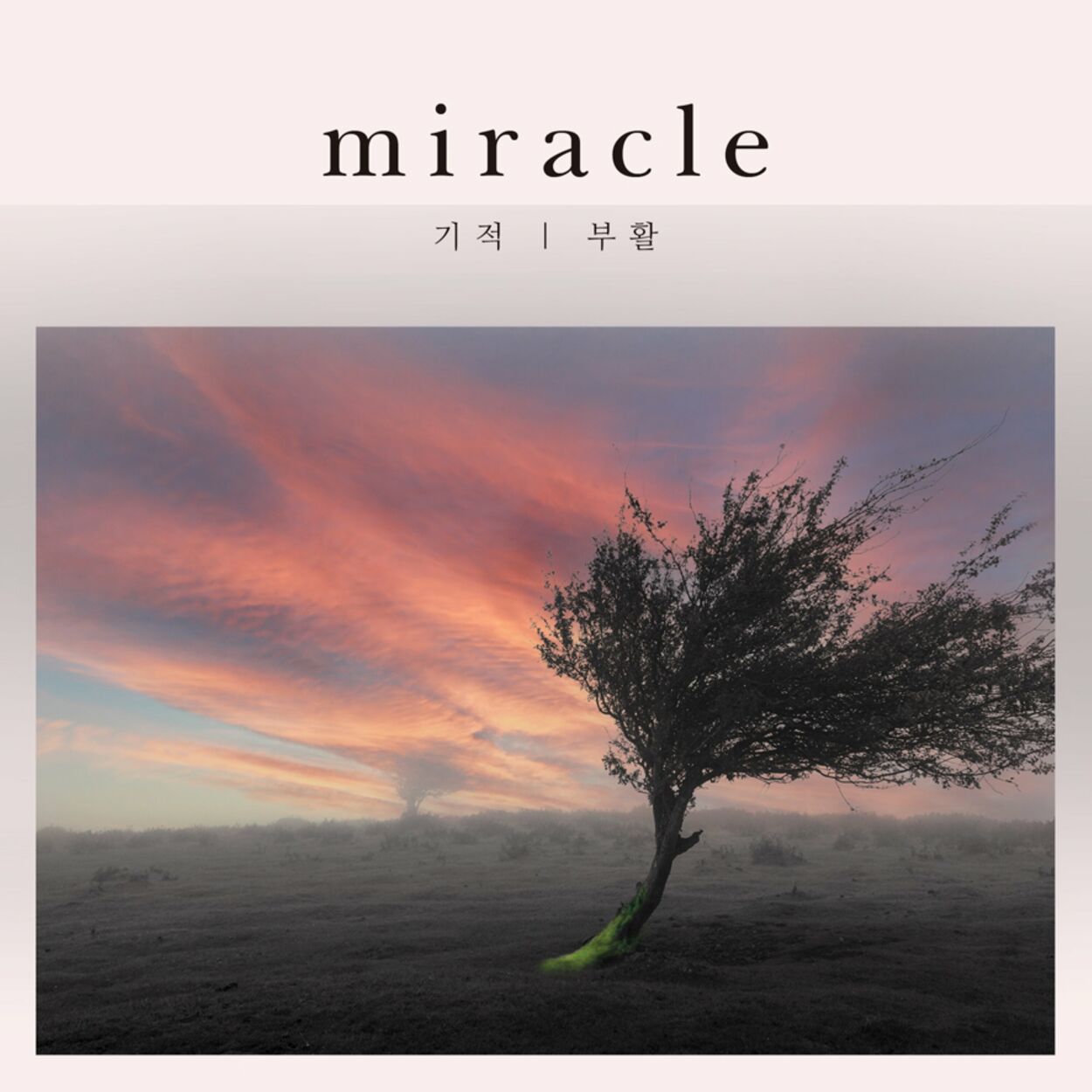 Boohwal – Miracle – Single