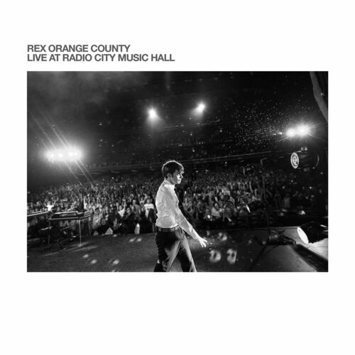 Album review: Rex Orange County deserves 10/10 rating for 'Pony