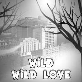 Wild Wild Love Originally Performed By Pitbull Feat G R L Wild Wild Love Originally Performed By Pitbull Feat G R L