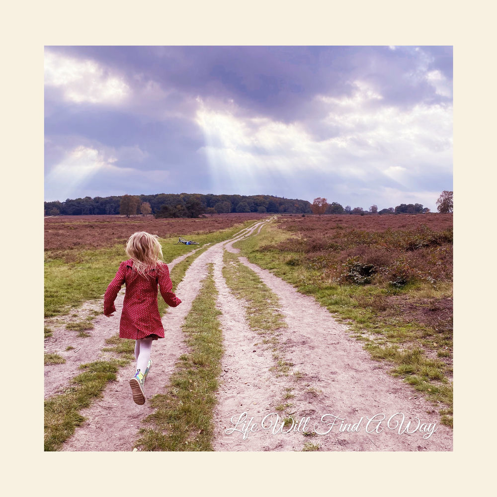 Aren't You Meant To Fly