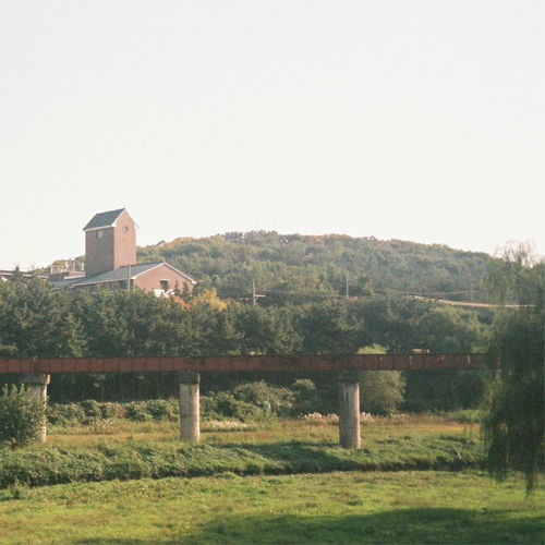 budung – like a fallen tree on the way – Single