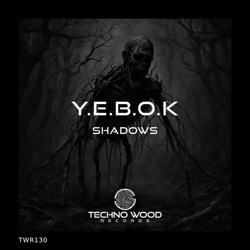  Y.e.b.o.k - Shadows (2024) 