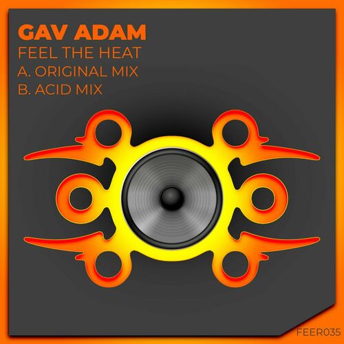  Gav Adam - Feel The Heat (2024) 