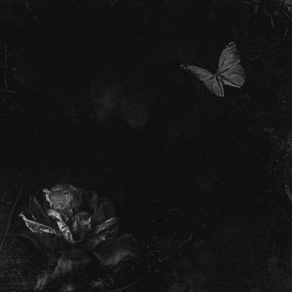 Edition – 굳이 – Single