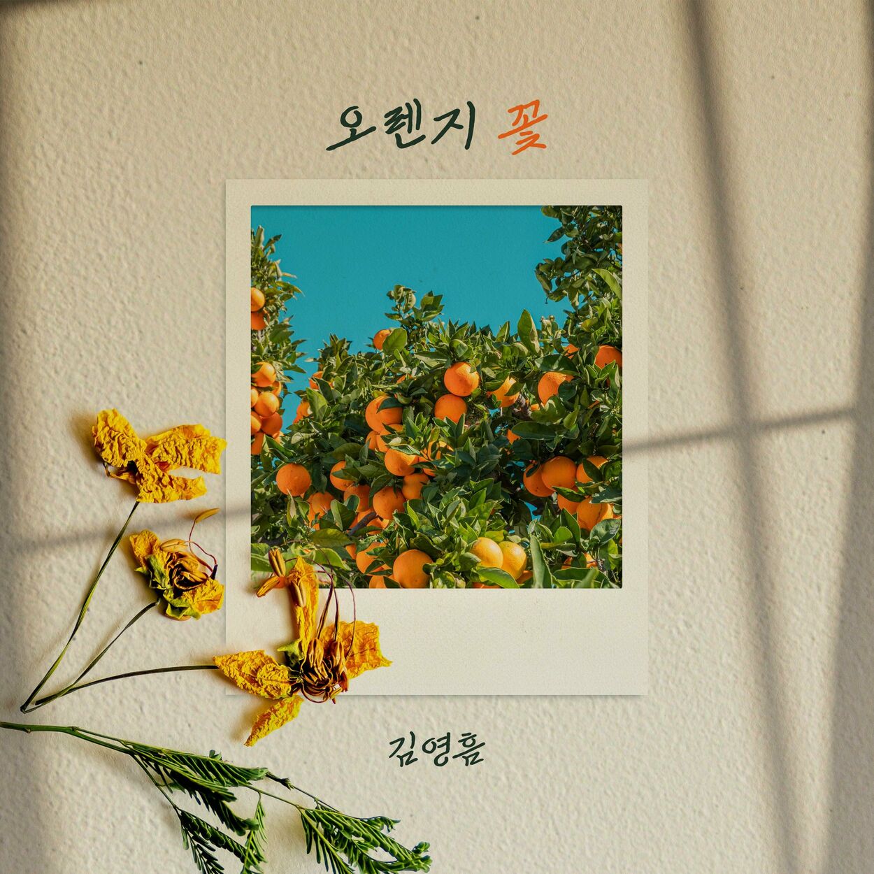 Kim Youngheum – Orange Flower – Single