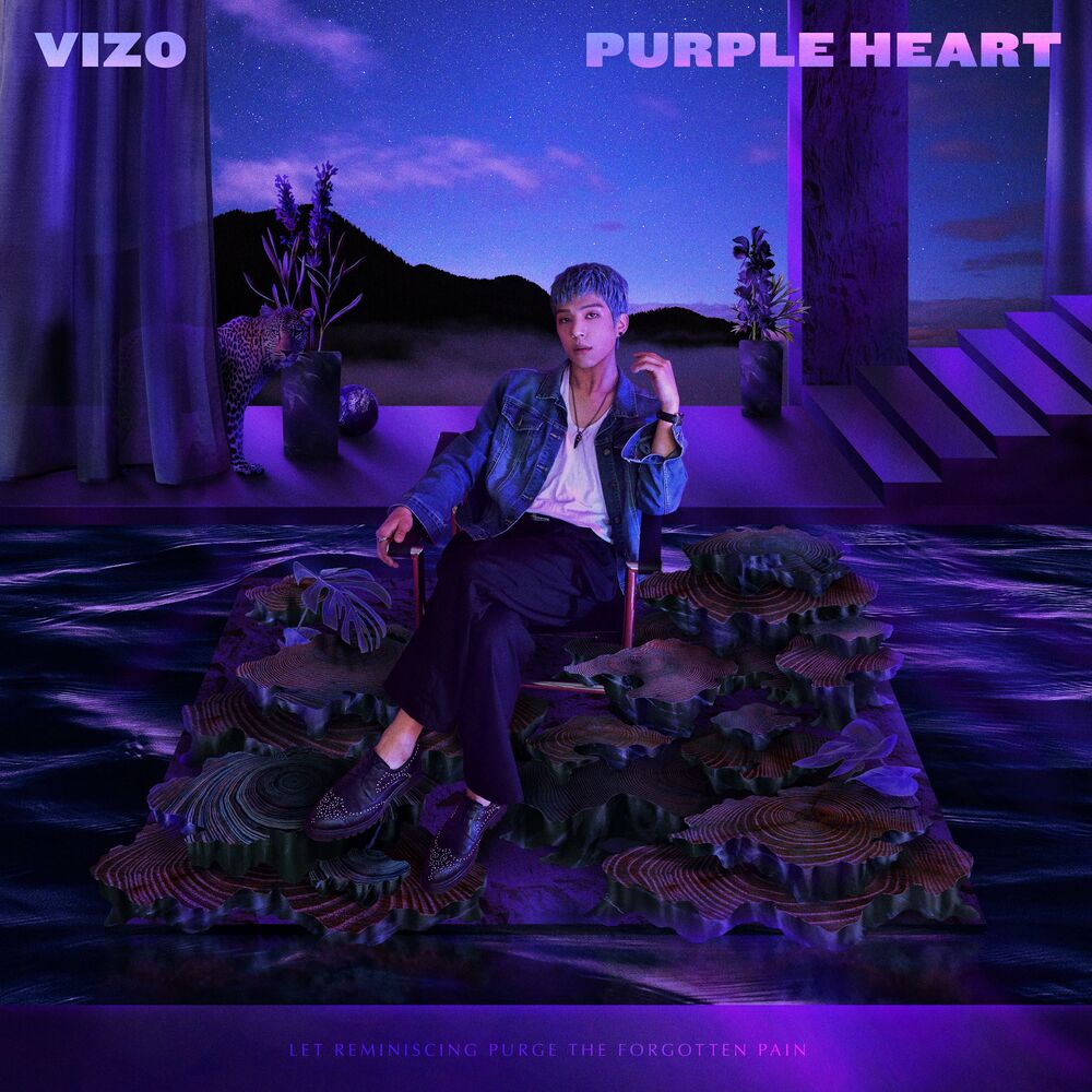 viZo – PURPLE HEART