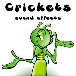 Text Tones And Ringtones Crickets Sound Effects Text Tones And Ringtones Music Streaming Listen On Deezer