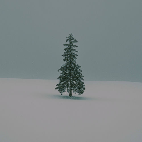 biskit! – winter (feat. hanlim) – Single