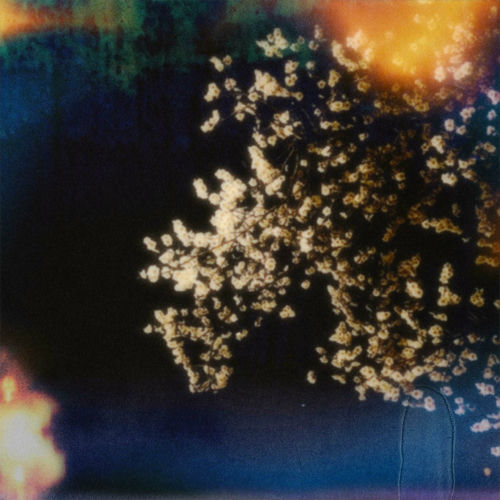 Soombee – blue in my room – Single