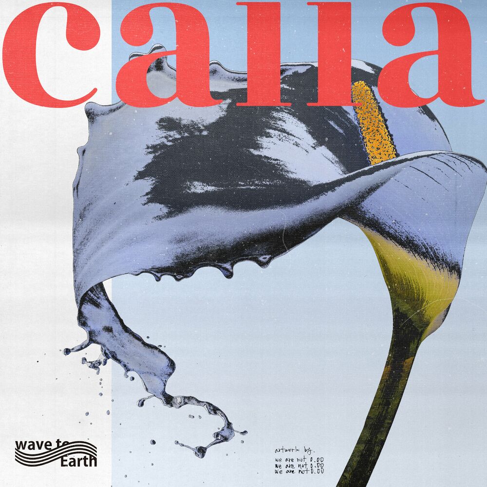 wave to earth – calla – Single