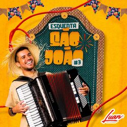 Download CD Luan Estilizado – Esquenta São João 3 2020