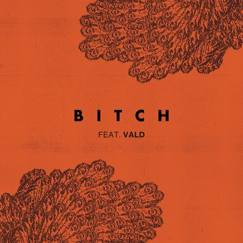 Bitch (feat. Vald) - Lefa