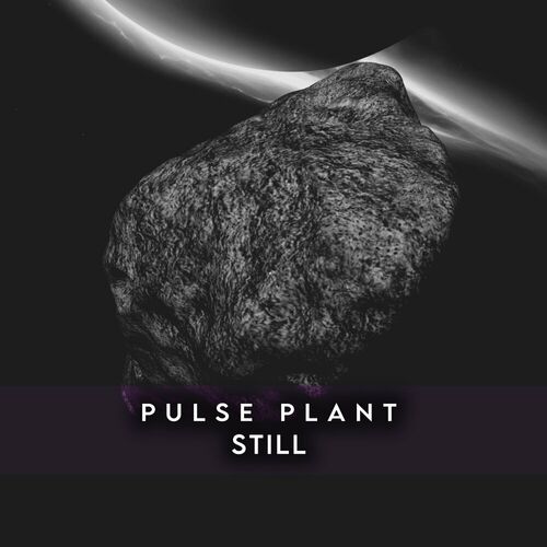  Pulse Plant - Still (2024) 