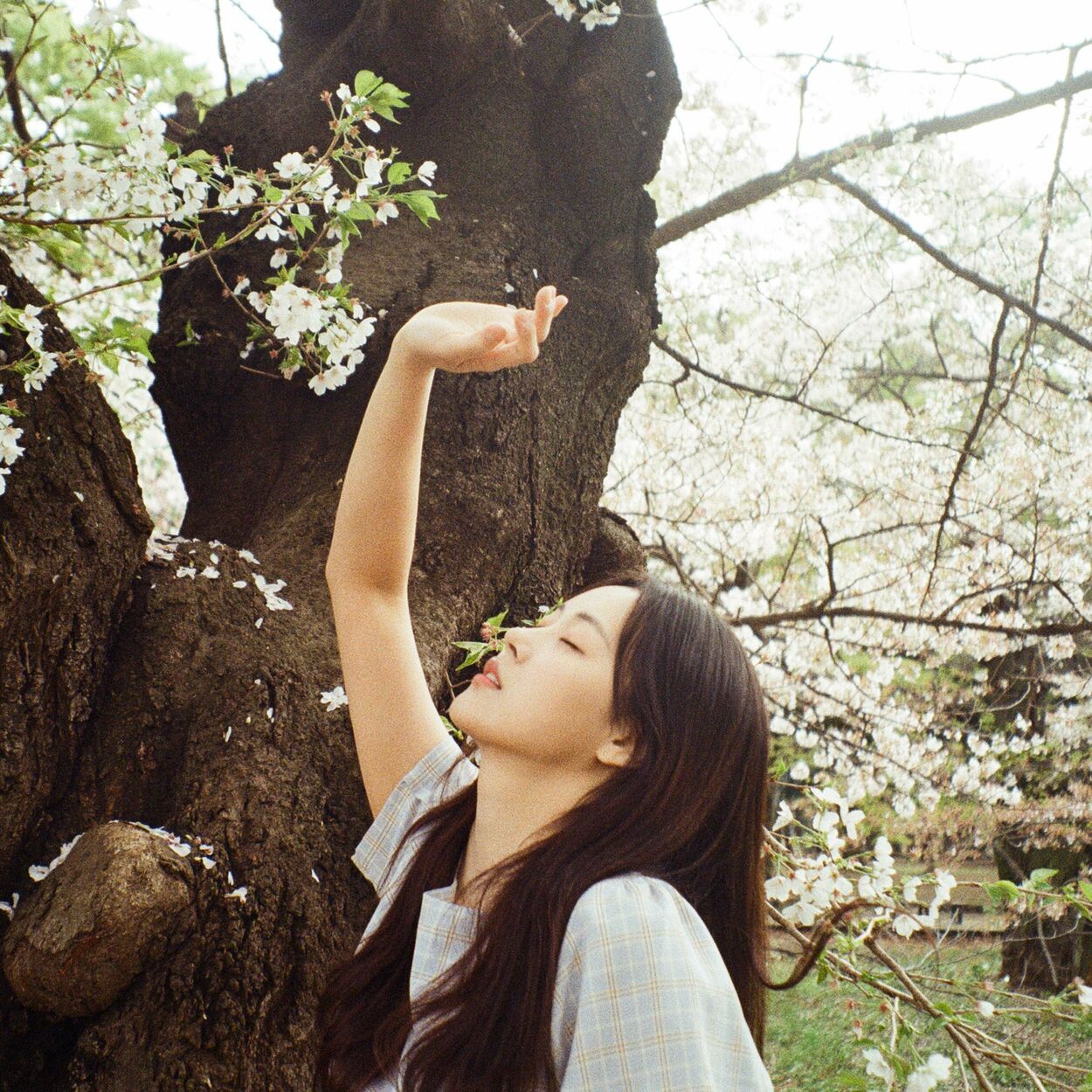 hyeon seo park – Be my spring – Single