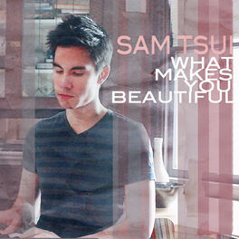 Sam Tsui What Makes You Beautiful Originally Performed By One