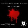 David Museen & Carlo Runia - Simple Heart (Arthur M Rmx)