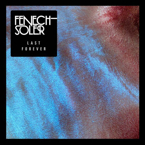 fenech soler last forever chainsmokers