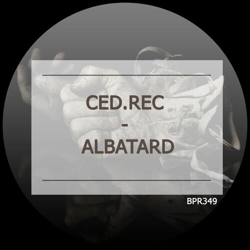 Ced.Rec - Albatard (2024)