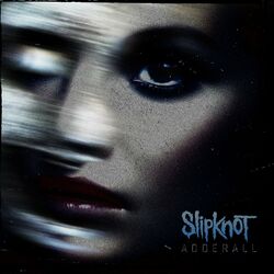 Slipknot – Adderall 2023 CD Completo