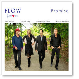 FLOW - Promise