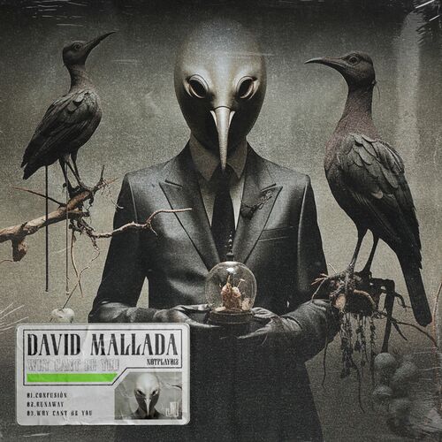  David Mallada - Why Cant Be You (2024) 