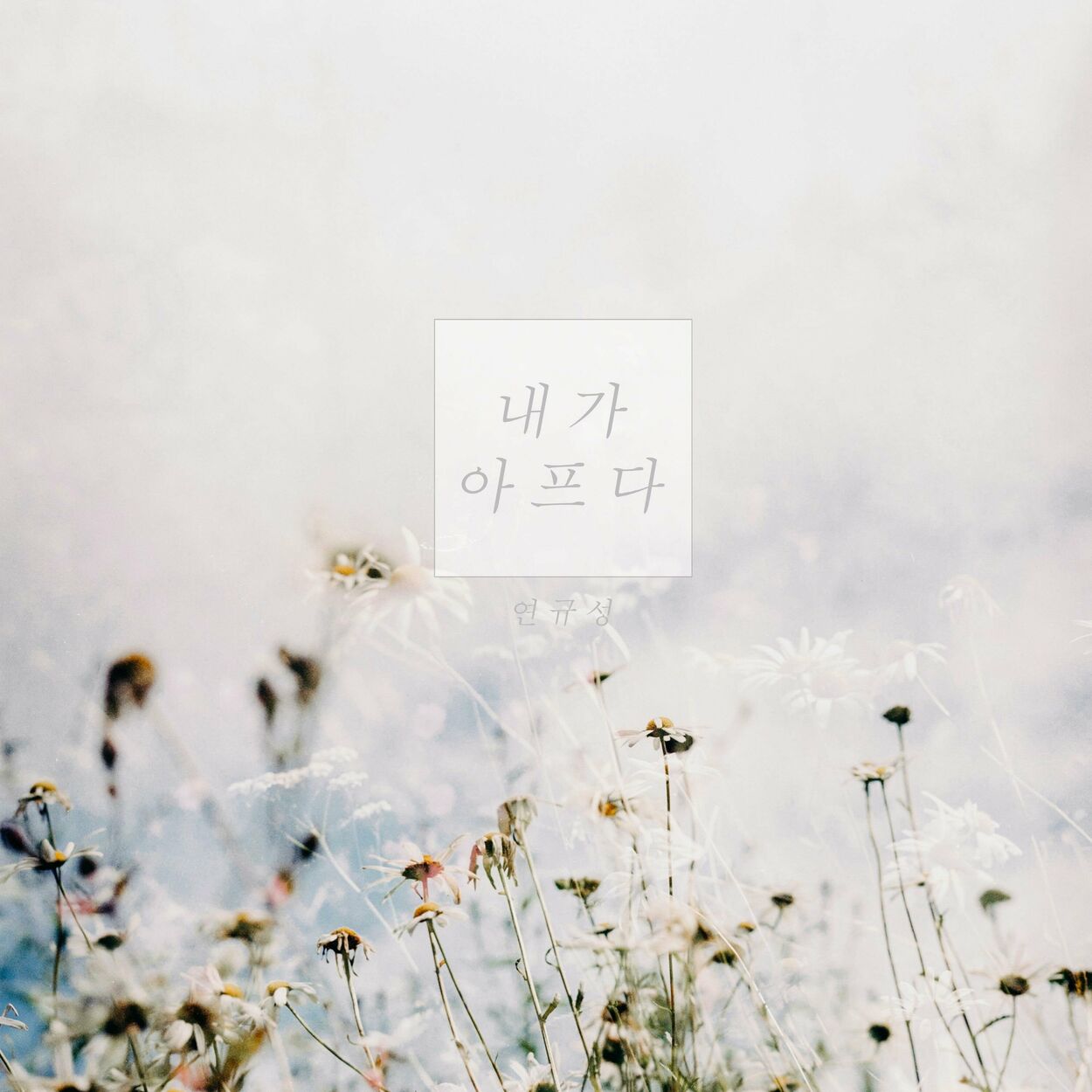 Yeon Kyoo Seong – I am painful – Single