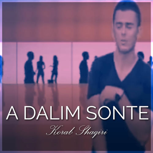 korab shaqiri ritakimi