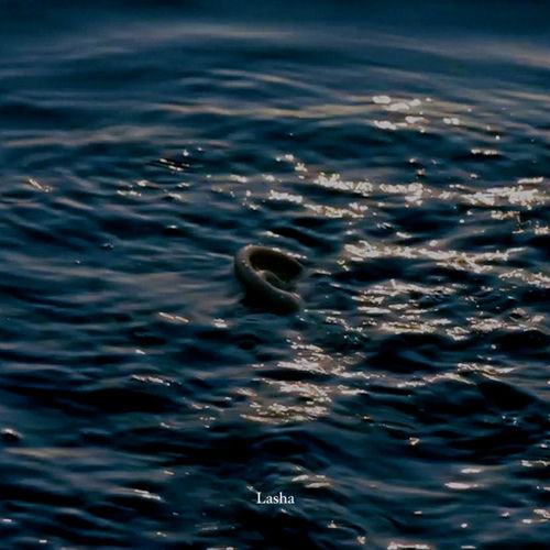 SAVINA & DRONES – Lasha