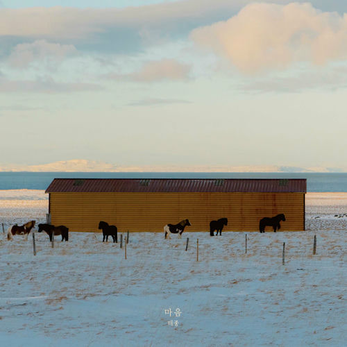 Tejong – All My Heart – Single